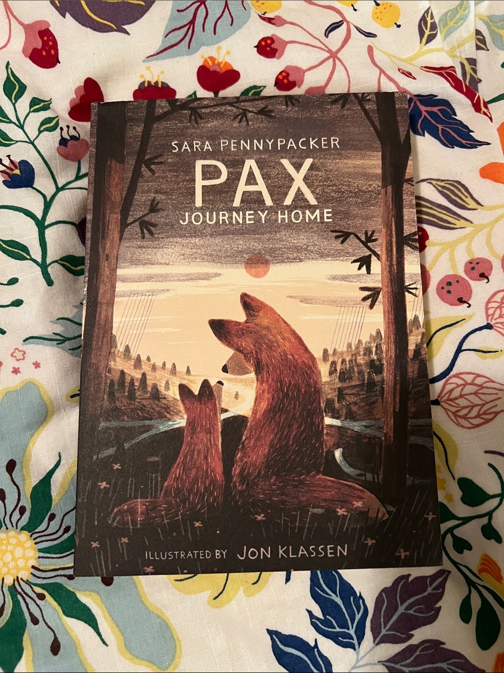 PAX: Journey Home by Sara Pennypacker / paperback book